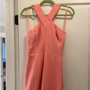 Elizabeth & James Pink Cocktail Dress